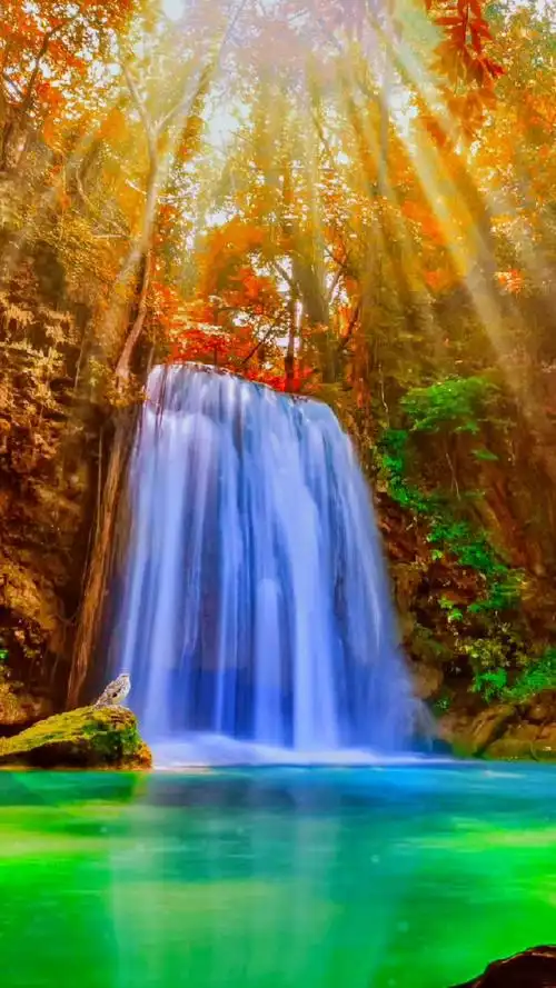 1080_1920竖版 竖屏