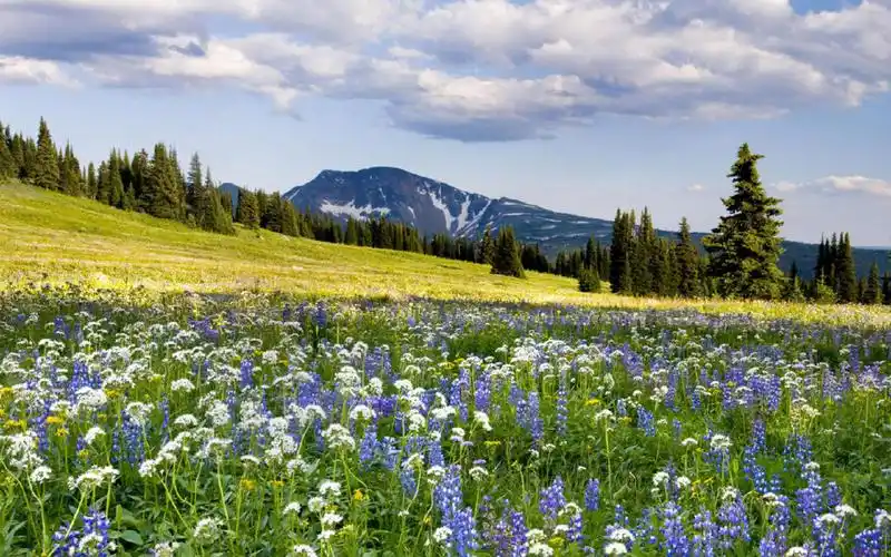 唯美秀丽自然风景图片电脑壁纸