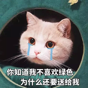 沙雕表情包l抖音最火斗图表情包