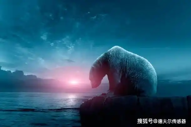 科学家警告全球气候危机人类将面对生存危机