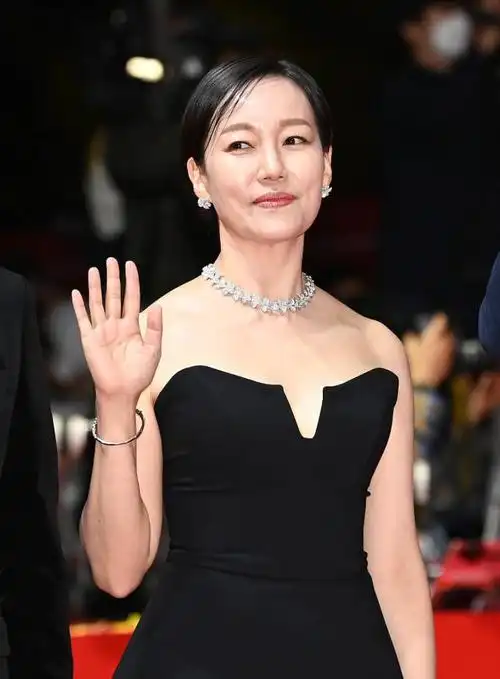 20余位韩国女星红毯硬照谁是整容脸一目了然具惠善身材爆肥