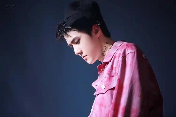 吴世勋##exo##三巡##盛世# 陪着吴世勋走花… - 堆糖,美图壁纸兴趣