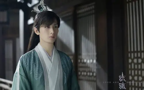 《琉璃》司凤图片桌面壁纸