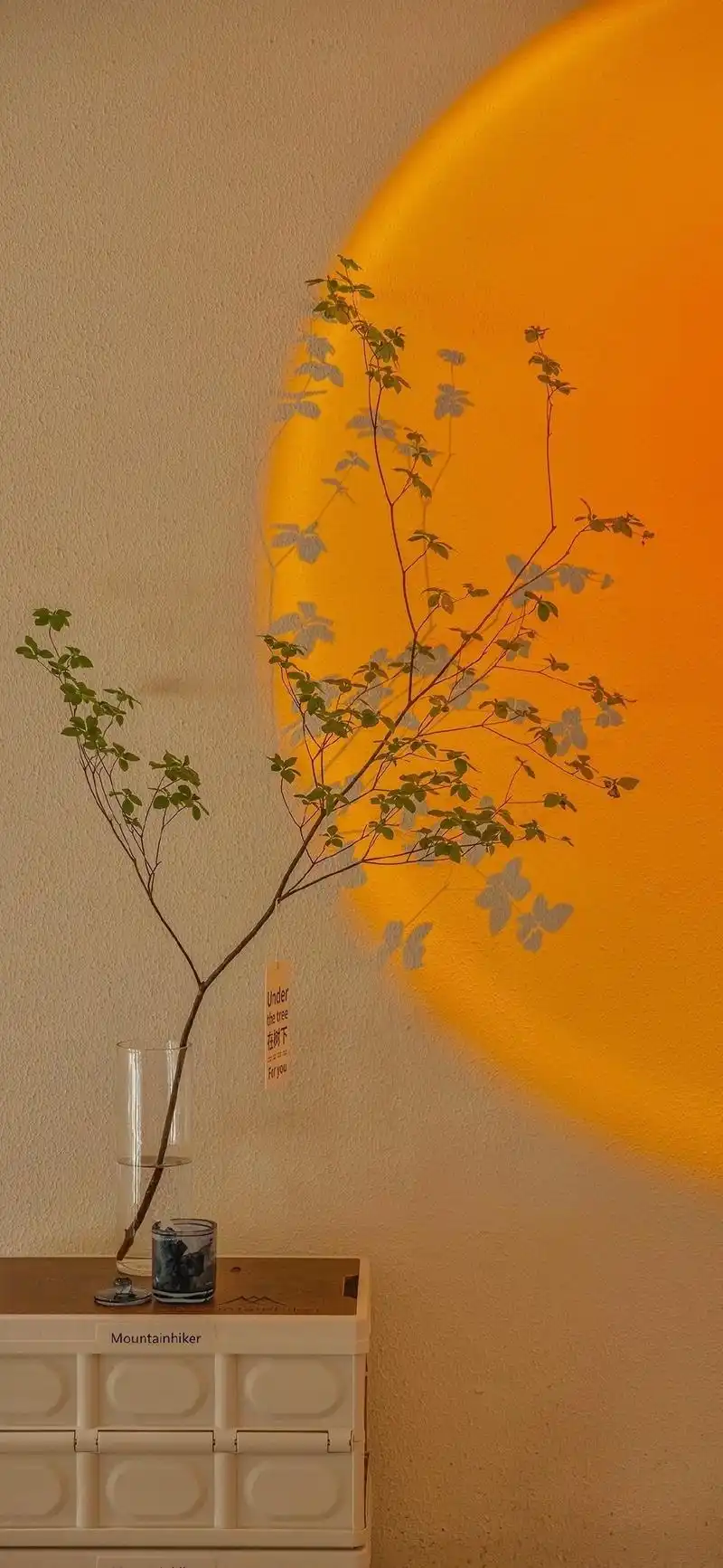 手机壁纸|高级感超强的风景微信背景图