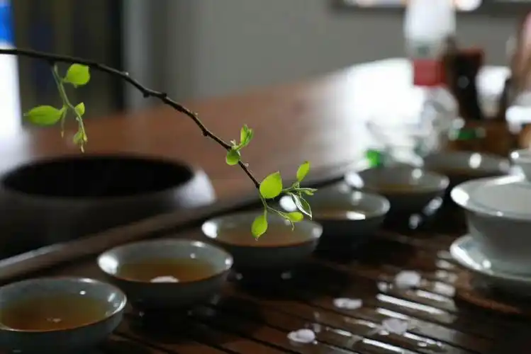 相约素食 静心品茶