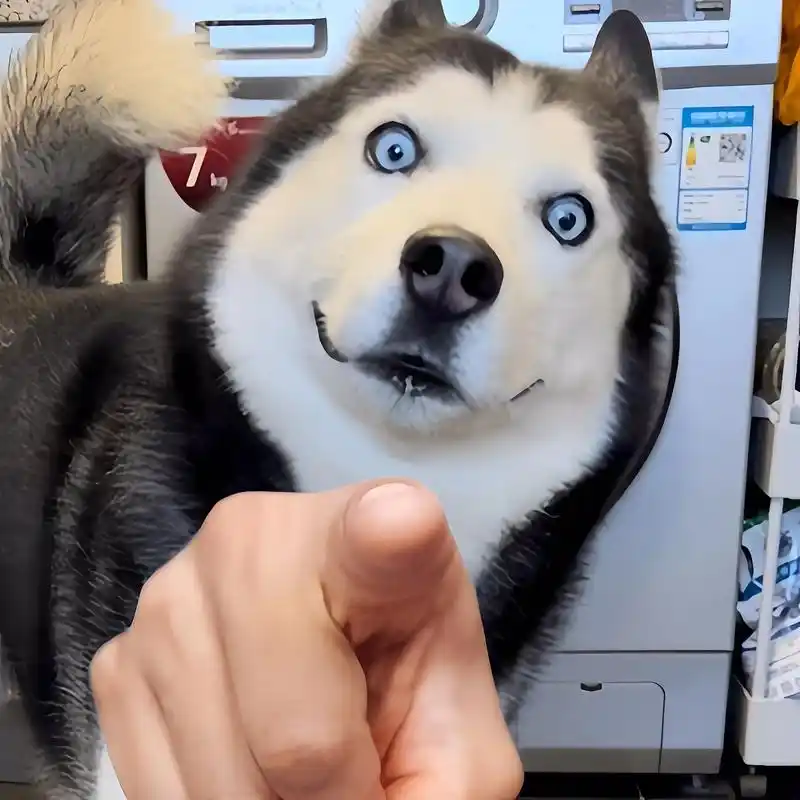 头像2024最新款图片免费头像,2024最火微信头像,搞笑头 - 抖音