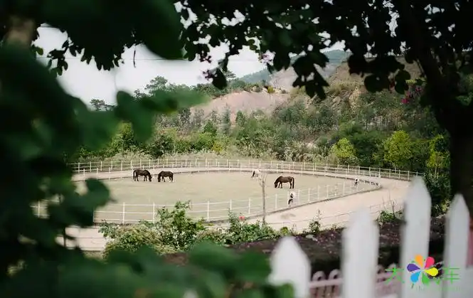 老大说现代版的世外桃源大风车农庄创始人郭锦琪