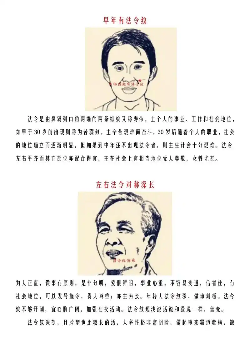 国学文化 #面相 #识人术 #法令纹 - 抖音