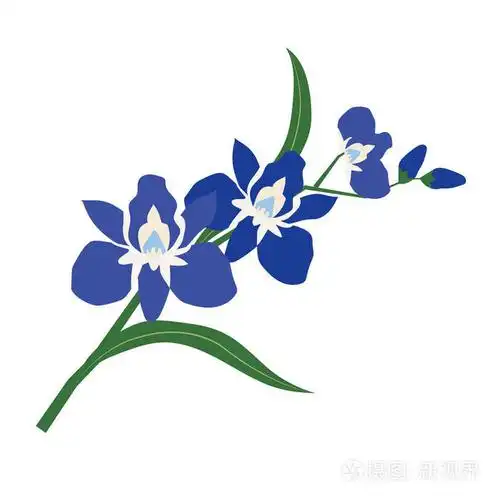 自然花蓝兰花, 矢量植物园花卉植物园