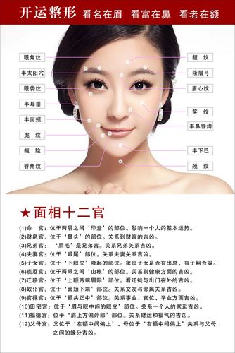 海报印制470设计展板素材102面相图 面相十二官定制
