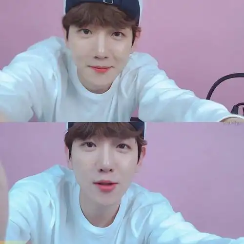 边伯贤0858555901085601