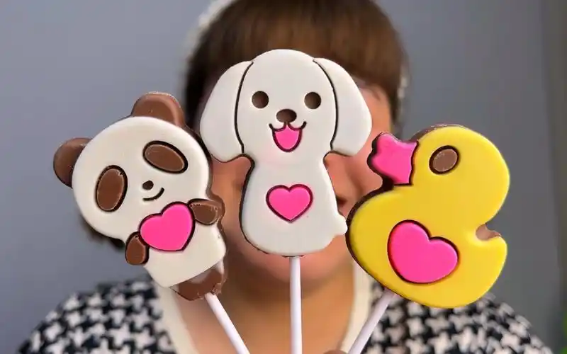 小动物巧克力棒棒糖