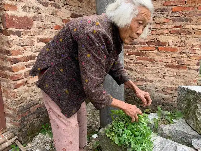 八旬慈祥老母亲,悉心照顾患病儿