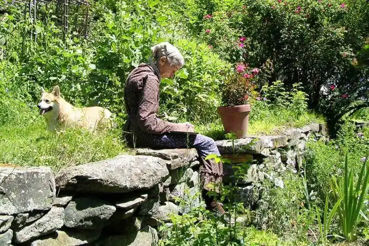 远离尘嚣过山居岁月《塔莎杜朵,一个人的田园生活》揭开优雅老去的