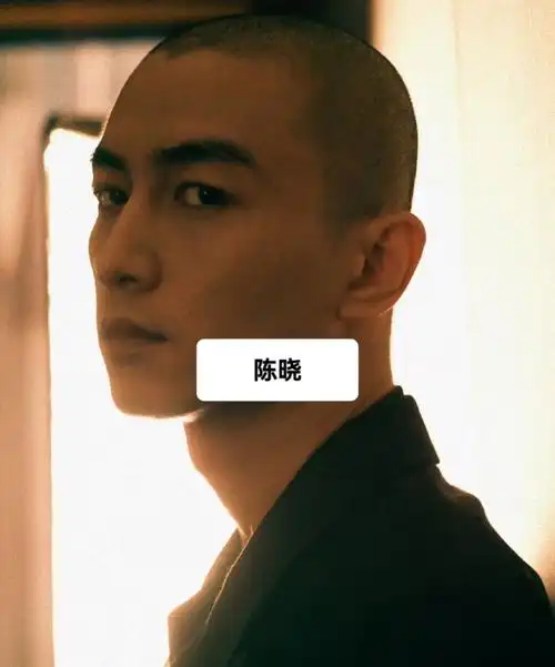 陈晓在近期出席2024电视剧导演大会中以光头的造型走红毯,成为了热议