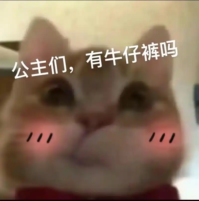 谢谢公主啦.姐姐最好啦!#歪嘴小猫表情包  #公主请看 #牛 - 抖音