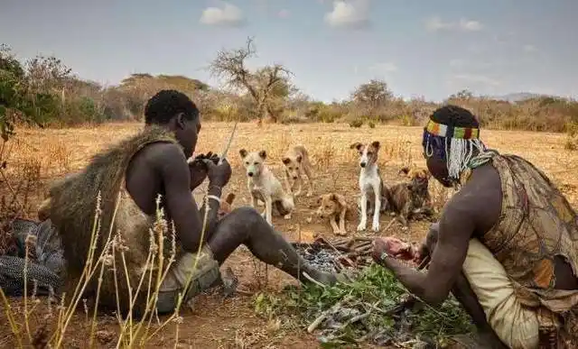 原始部落最多的国家,今天小编要和大家说的就是世界上最后一个狩猎