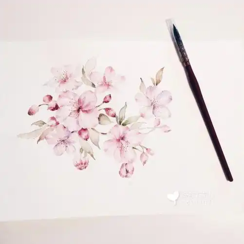 桃花灿烂你尤在简单花卉水彩教程