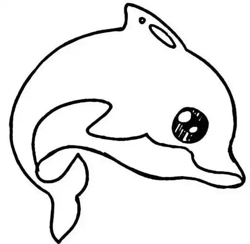海豚动物简笔画图片海豚简笔画图片海豚怎么画