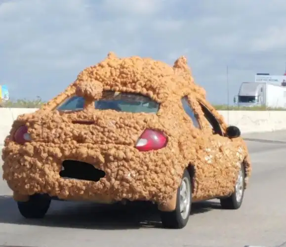 这是我见过最恶心的汽车.