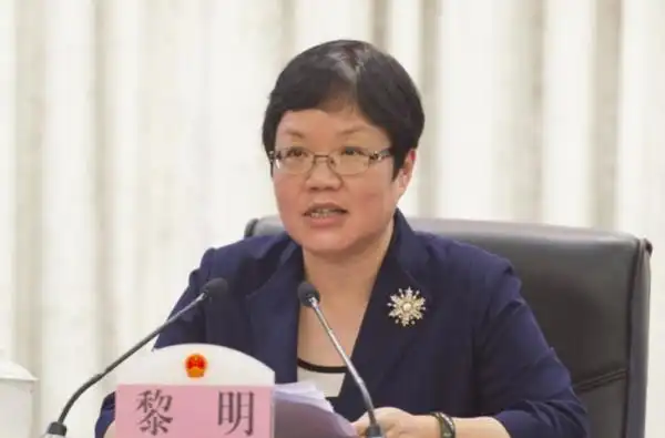 广州在行动"媒体见面会)上,广州市副市长黎明表示,当前,广州正根据