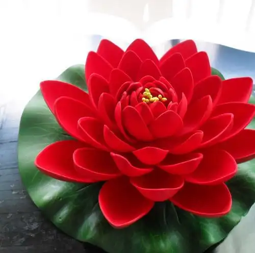 其它 荷塘美色 写美篇而赏荷花,最好是盛夏初秋,此时荷花盛开,清香