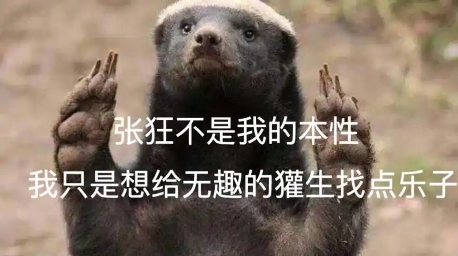 出卖"美色" 一次管理员带着扫帚来打扫卫生 结果向来酷炫高冷的平头哥