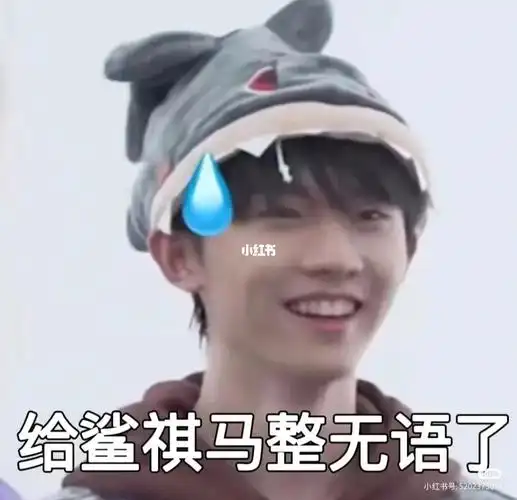 马嘉祺表情包