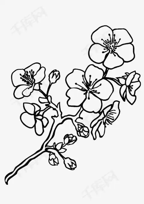 植物简笔画梅花 - 燕子图片网,一个充满欢乐的表情包,头像图片乐园
