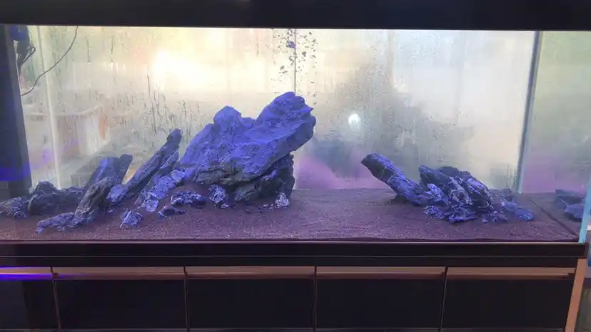 21米青龙石三湖慈鲷缸造景