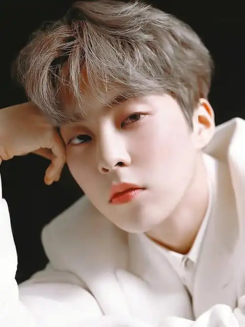 金珉锡壁纸系列1