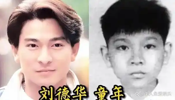 就在他们开始看到局势逐渐好转的时候,命运却突然捉弄他们,在刘德华