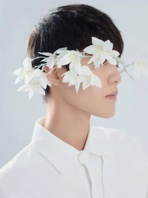 韩杂花美男情绪写真