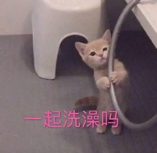 撩女朋友的表情包30张撩妹必备情话表情