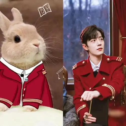 有种可爱叫肖战和兔子比呆萌粉丝立马收藏为表情包