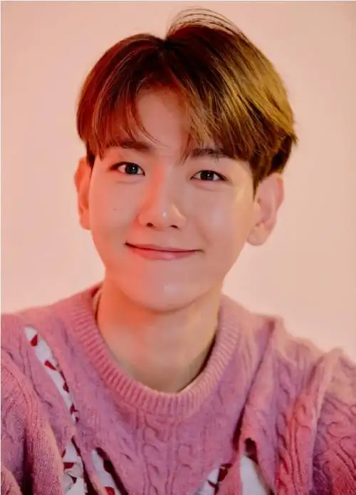 边伯贤将在mlb表演