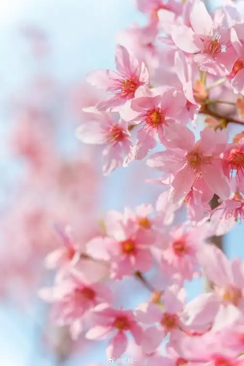 690_1035竖版 竖屏