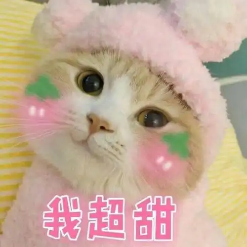 我超甜 - 一波可爱猫星人表情包_猫咪表情