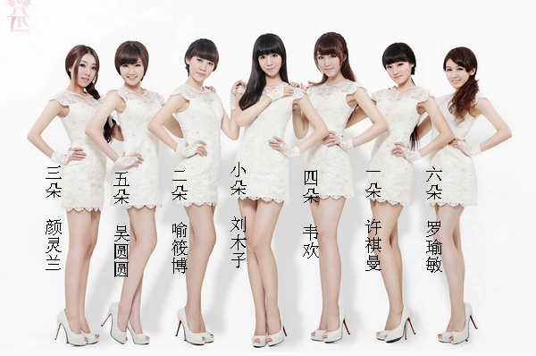 能不能这张七朵组合的图里面给我标注一下谁是谁