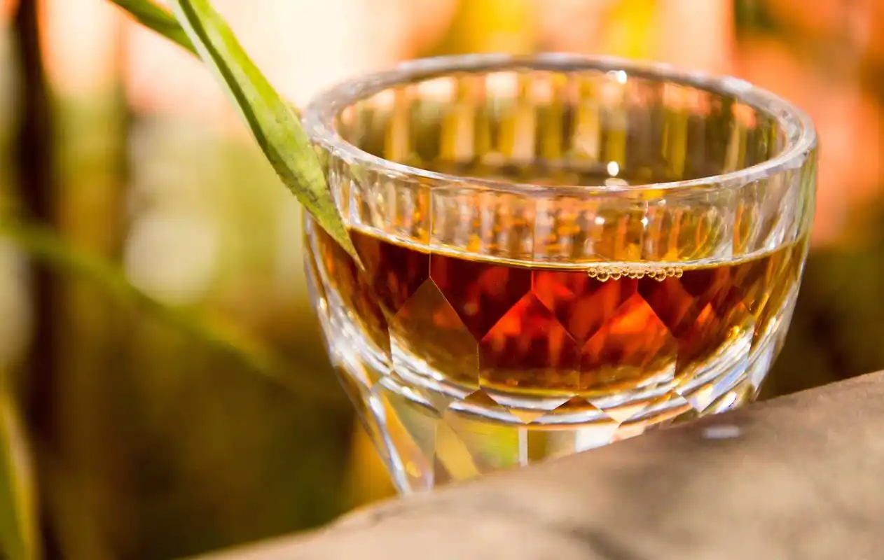 忙碌生活,悠闲喝茶