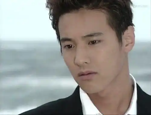 在靠电视剧一炮走红后,他又走进了电影领域.