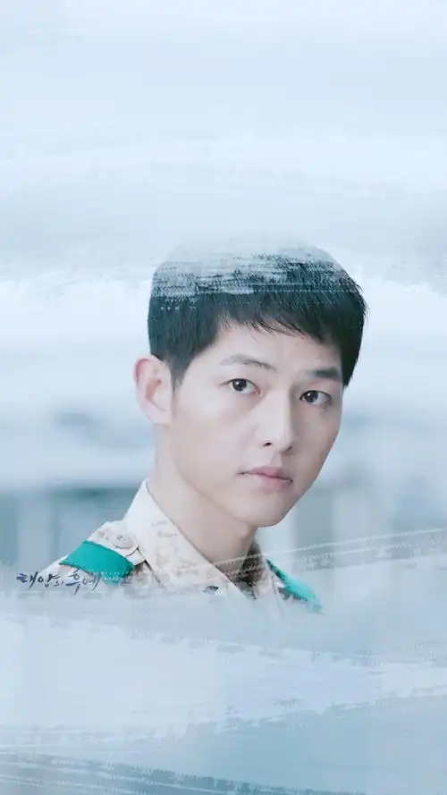 太阳的后裔 宋仲基