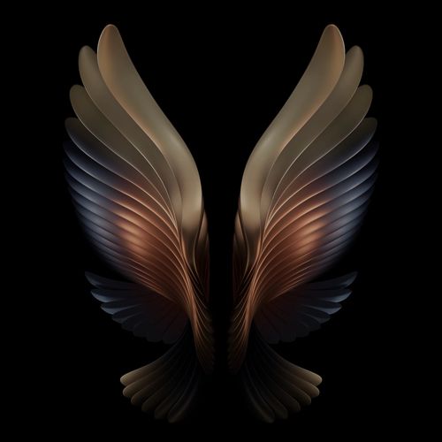 三星w21心系天下动态翅膀水波纹高清动态壁纸三星折叠手机通用