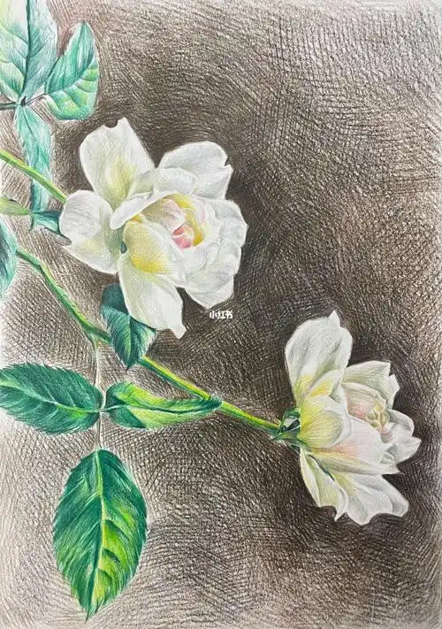 彩铅画无背景好看还是有背景好看呢