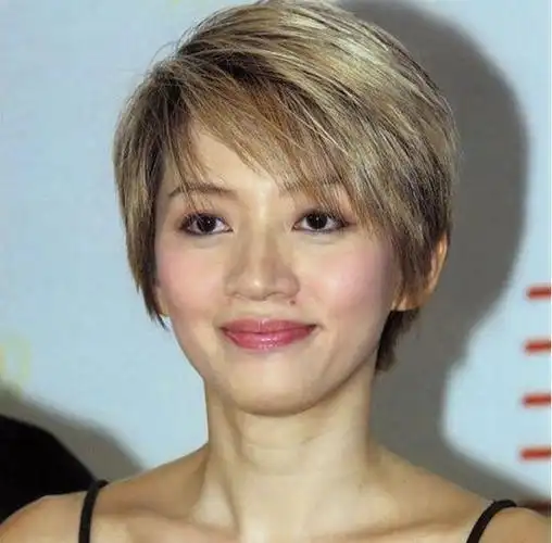 梅艳芳什么原因怎么走的 梅艳芳生病原因-春风号,忽如一夜春风来千树