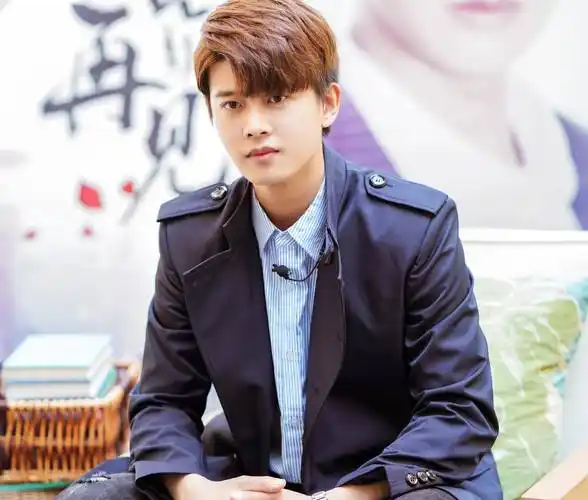 任嘉伦回国后任嘉伦就经人介绍去了《通天狄仁杰》剧组.