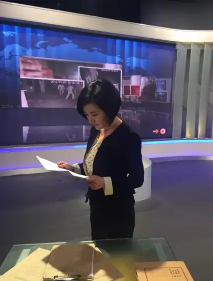 路晨图片  央视主持人路晨图片