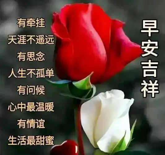 7月22日最新创意好看的早上好祝福图片 2022唯美夏天早安问候祝福图片