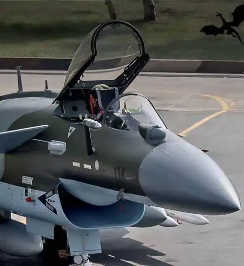 巴基斯坦歼10c美图鉴赏,那批加粗脊背的猛龙,也"名花有主"了-第3张