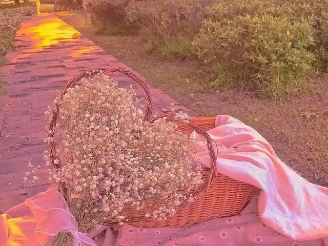 句句走心 高雅有内涵的五一温柔句子,简短精湛,治愈人心 温暖余生的